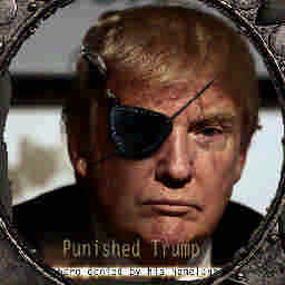 Trump 2020 1.2