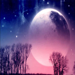 Moonflower Defense 2.11 ENG