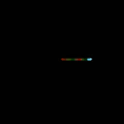 Void